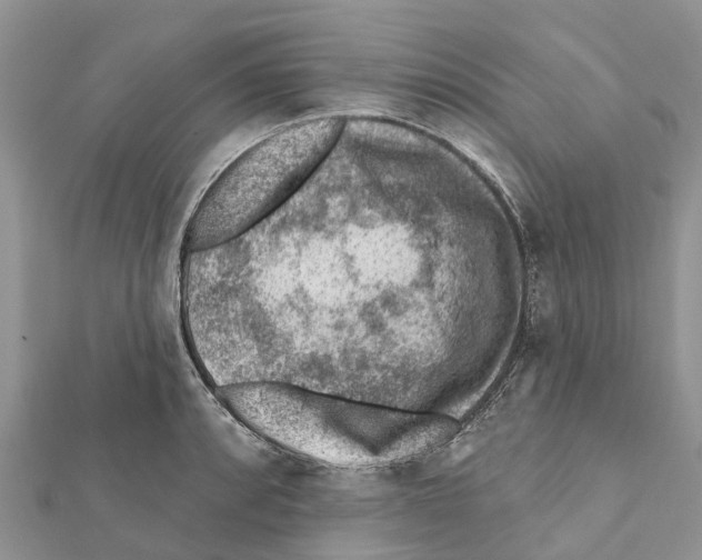 X0000111381088200908211335