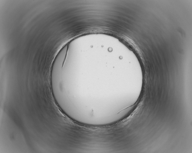 X0000111381089200908211334