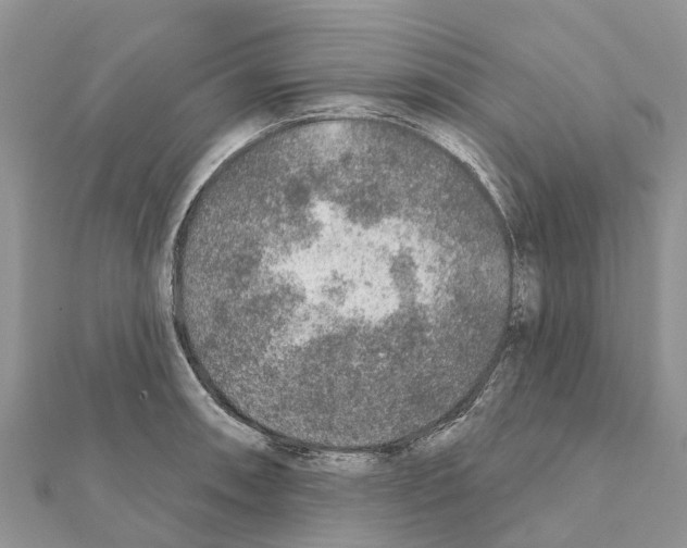 X0000111381090200908211334