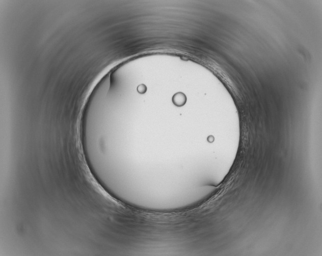 X0000111381092200908211334