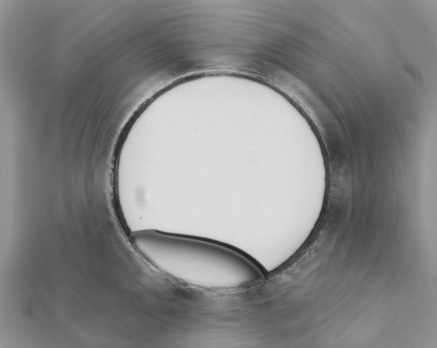 X0000111381093200908211334