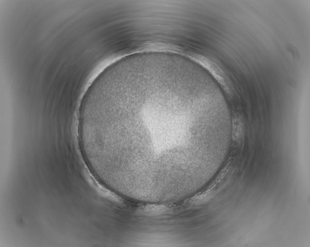 X0000111381094200908211334