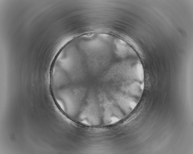 X0000111381095200908211334