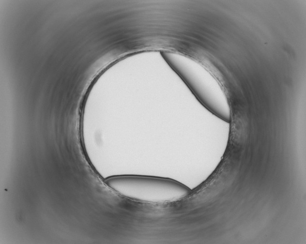 X0000111381096200908211334