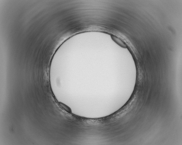 X0000111381097200908211334