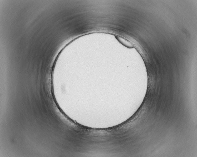 X0000111381100200908211334