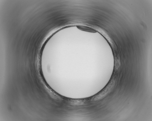 X0000111381101200908211334