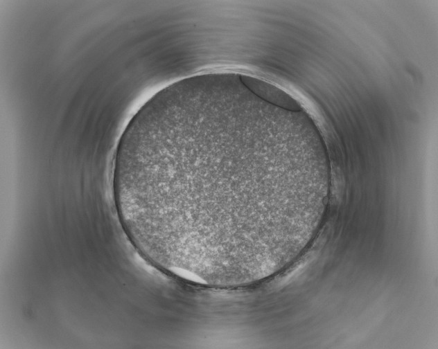 X0000111381102200908211334