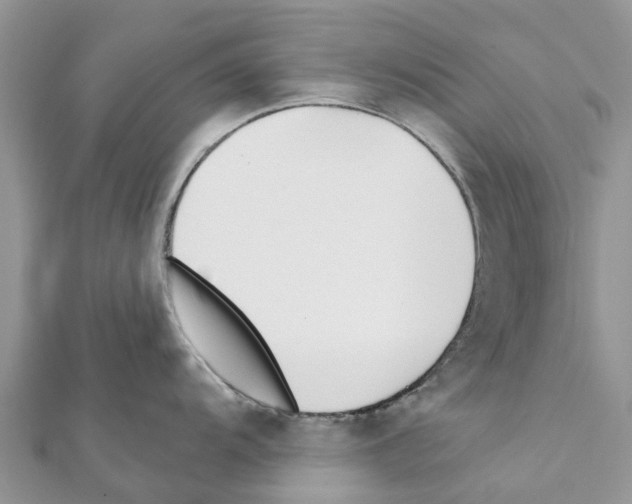 X0000111381104200908211334