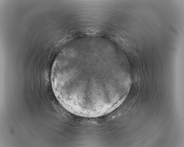 X0000111381106200908211334