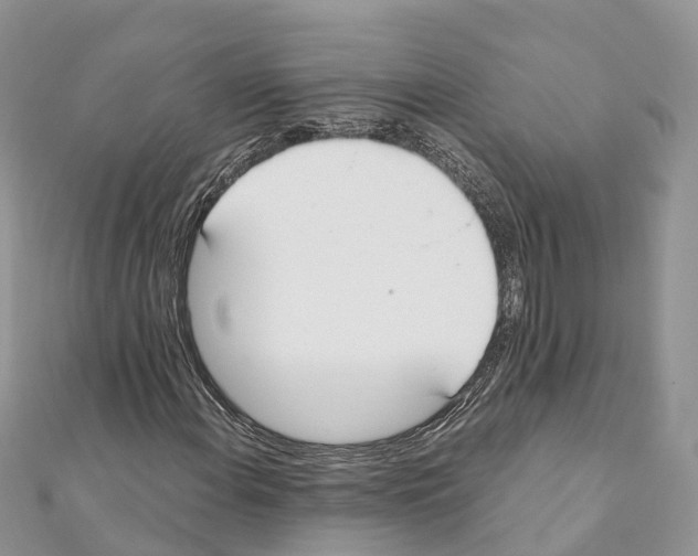 X0000111381108200908211334