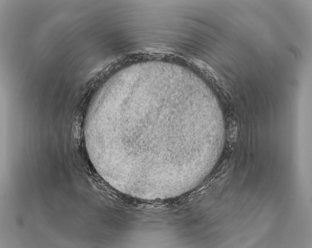 X0000111381110200908211334