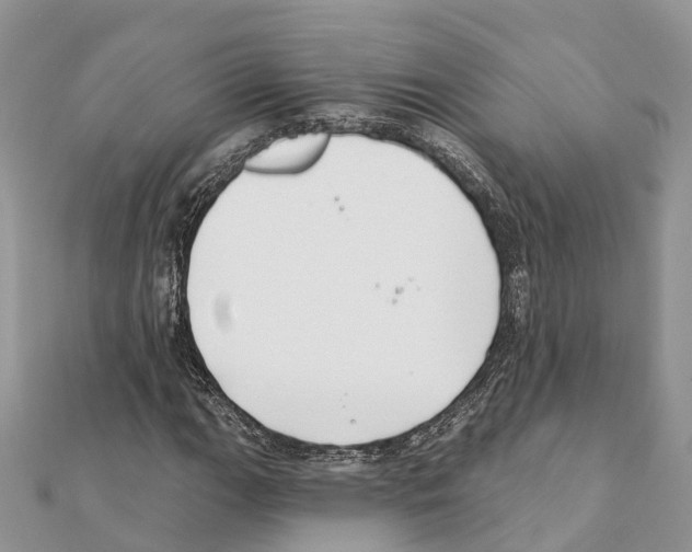 X0000111381111200908211334