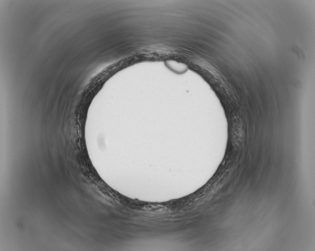 X0000111381112200908211334