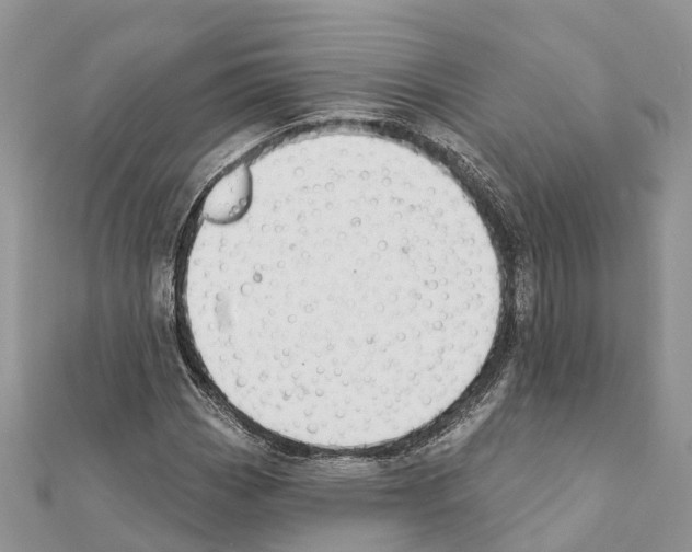 X0000111381113200908211334