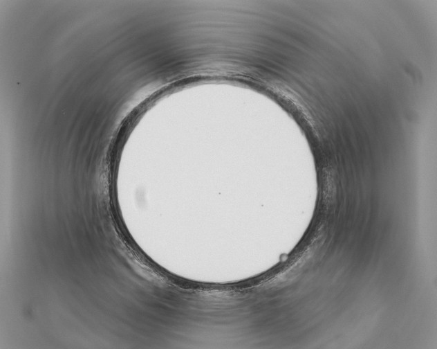 X0000111381114200908211334