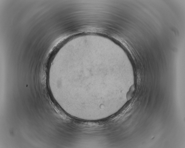 X0000111381115200908211334