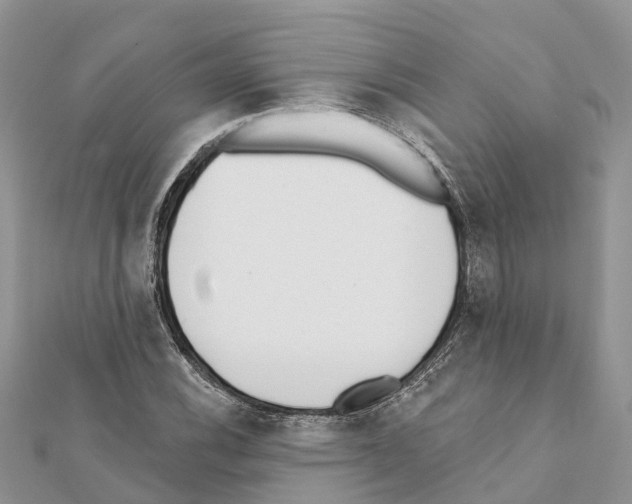 X0000111381116200908211334