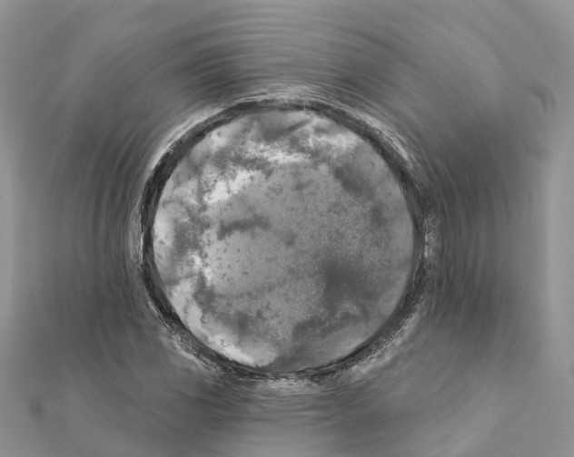 X0000111381117200908211334