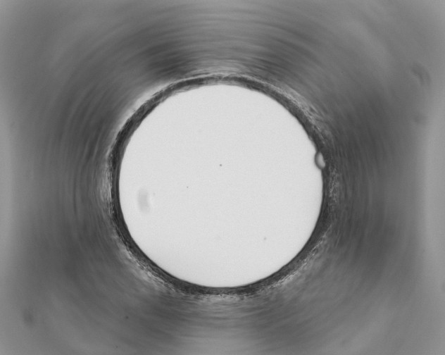 X0000111381118200908211334