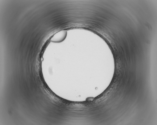 X0000111381119200908211334