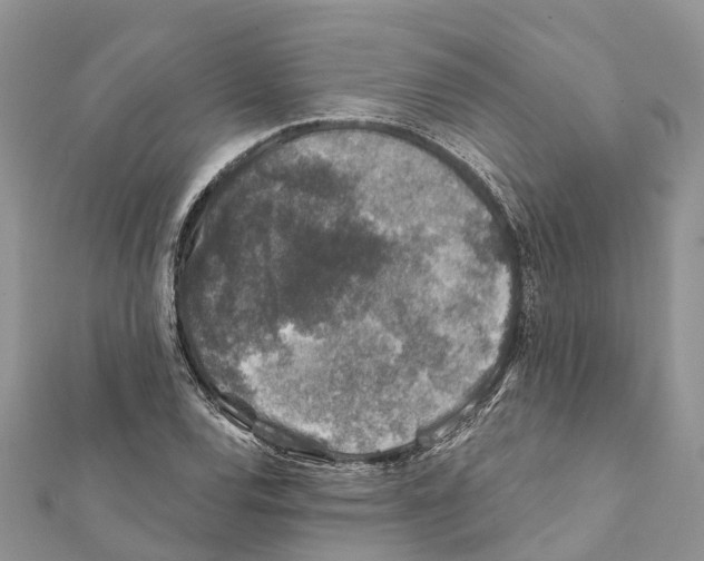 X0000111381120200908211334