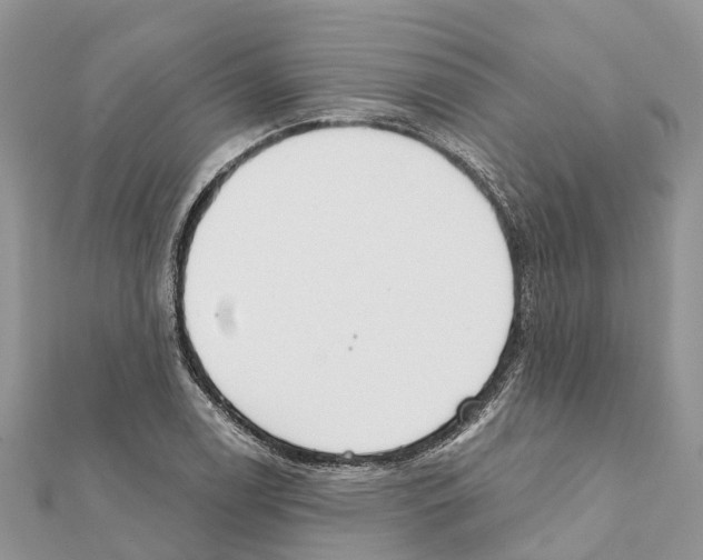 X0000111381122200908211334