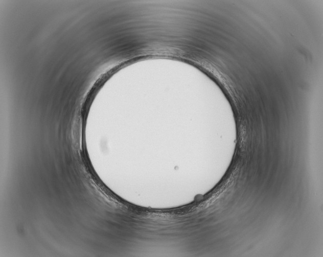 X0000111381123200908211334