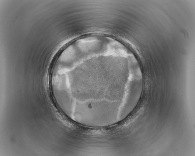 X0000111381125200908211334