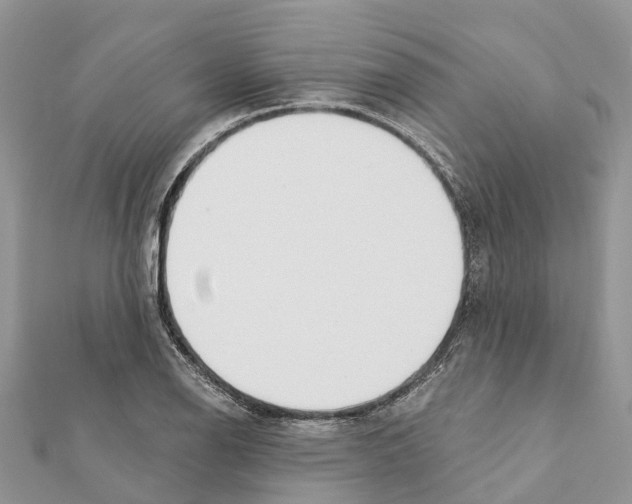 X0000111381126200908211334