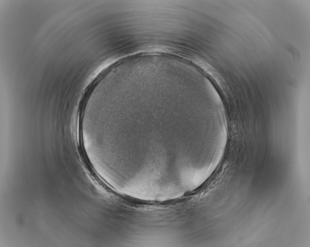 X0000111381127200908211334