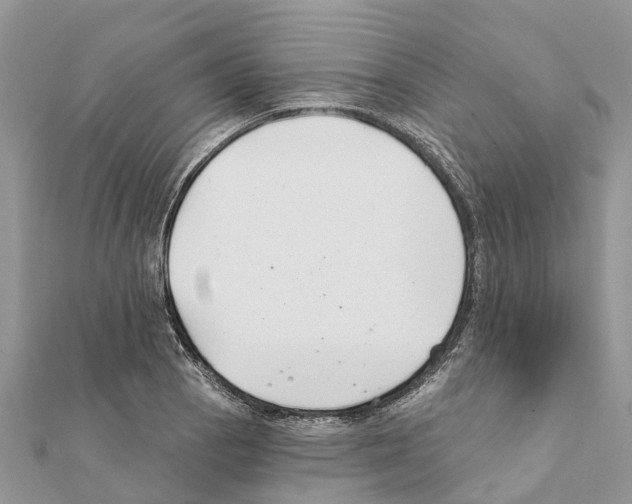 X0000111381129200908211334