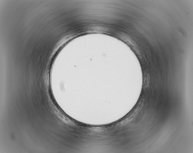 X0000111381130200908211334