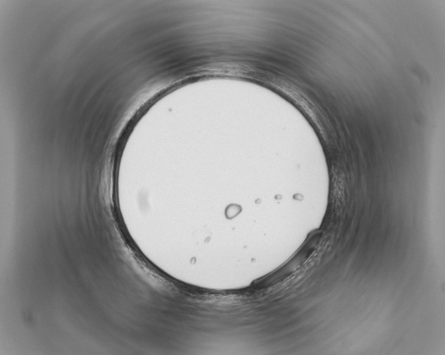 X0000111381131200908211334