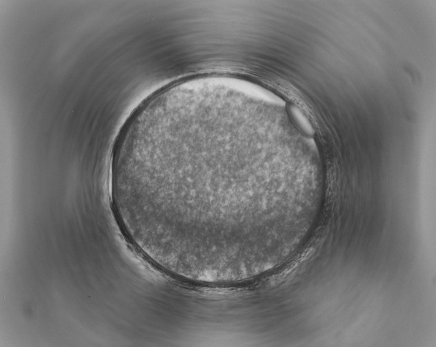 X0000111381132200908211334