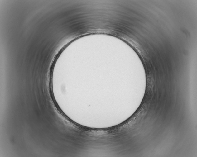 X0000111381135200908211334