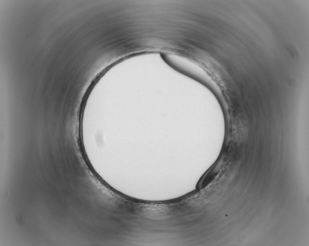 X0000111381136200908211334