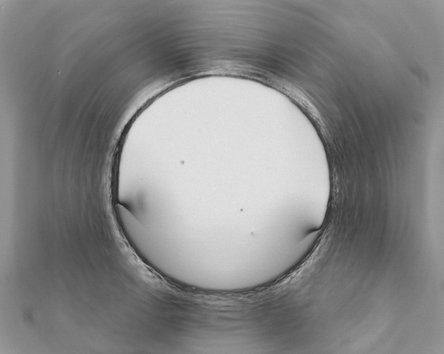 X0000111381138200908211334