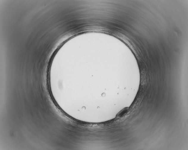 X0000111381139200908211334