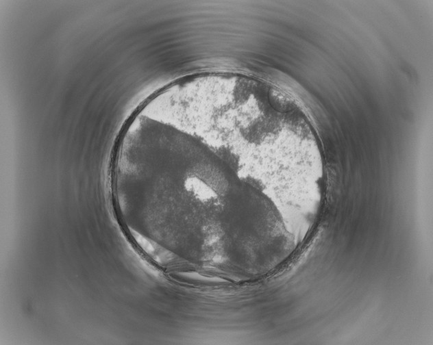 X0000111381141200908211334