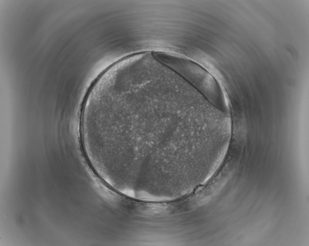 X0000111381144200908211334