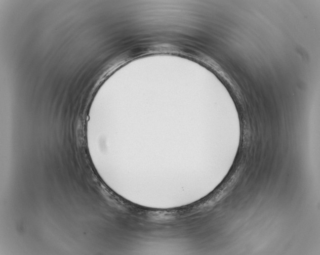 X0000111381145200908211334