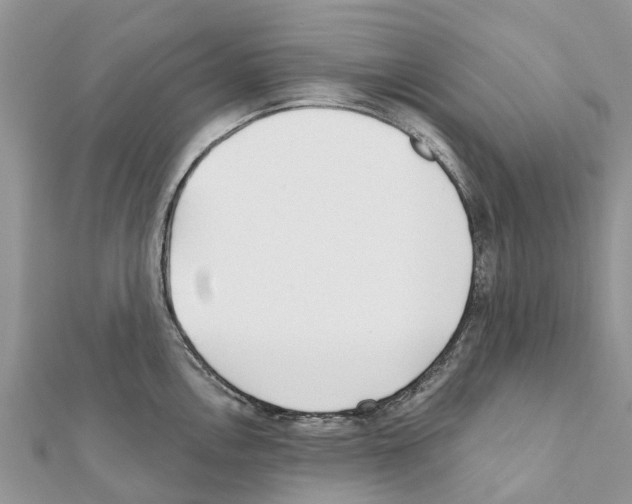 X0000111381146200908211334