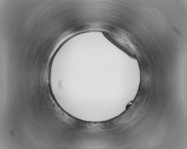 X0000111381148200908211334