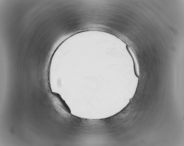 X0000111381152200908211334