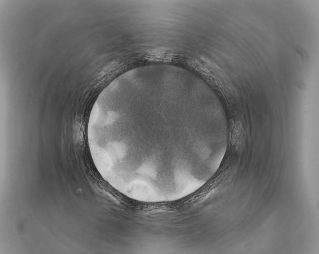 X0000111381154200908211334