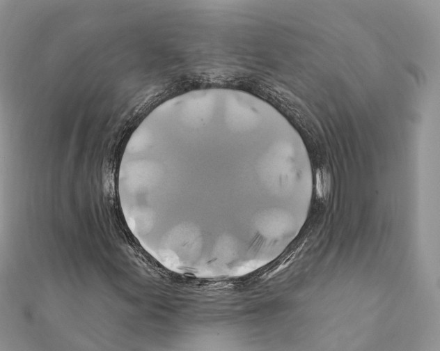 X0000111381155200908211334