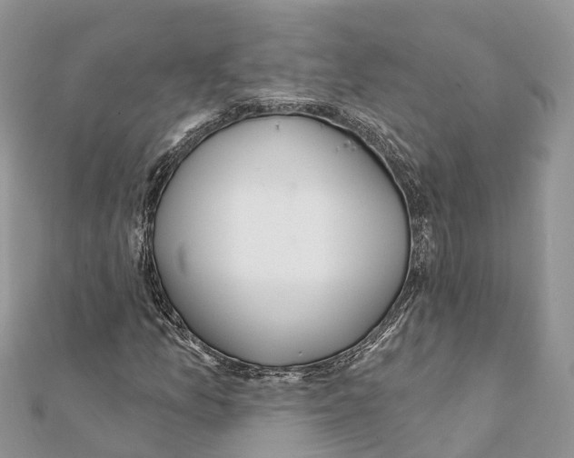 X0000111381157200908211334