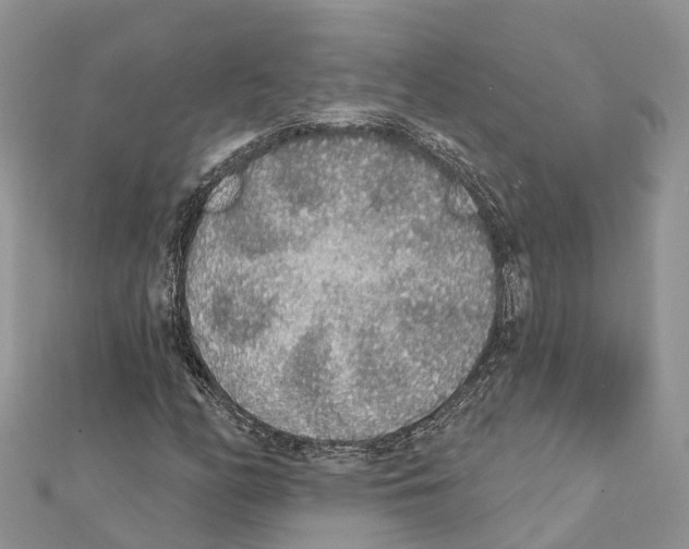 X0000111381158200908211334