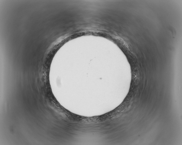 X0000111381159200908211334